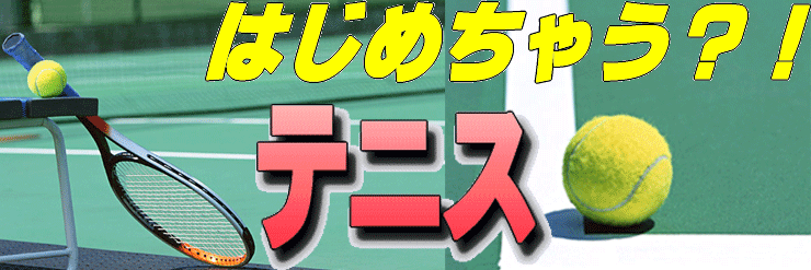 �e�j�X�n�߂��Ⴄ�H